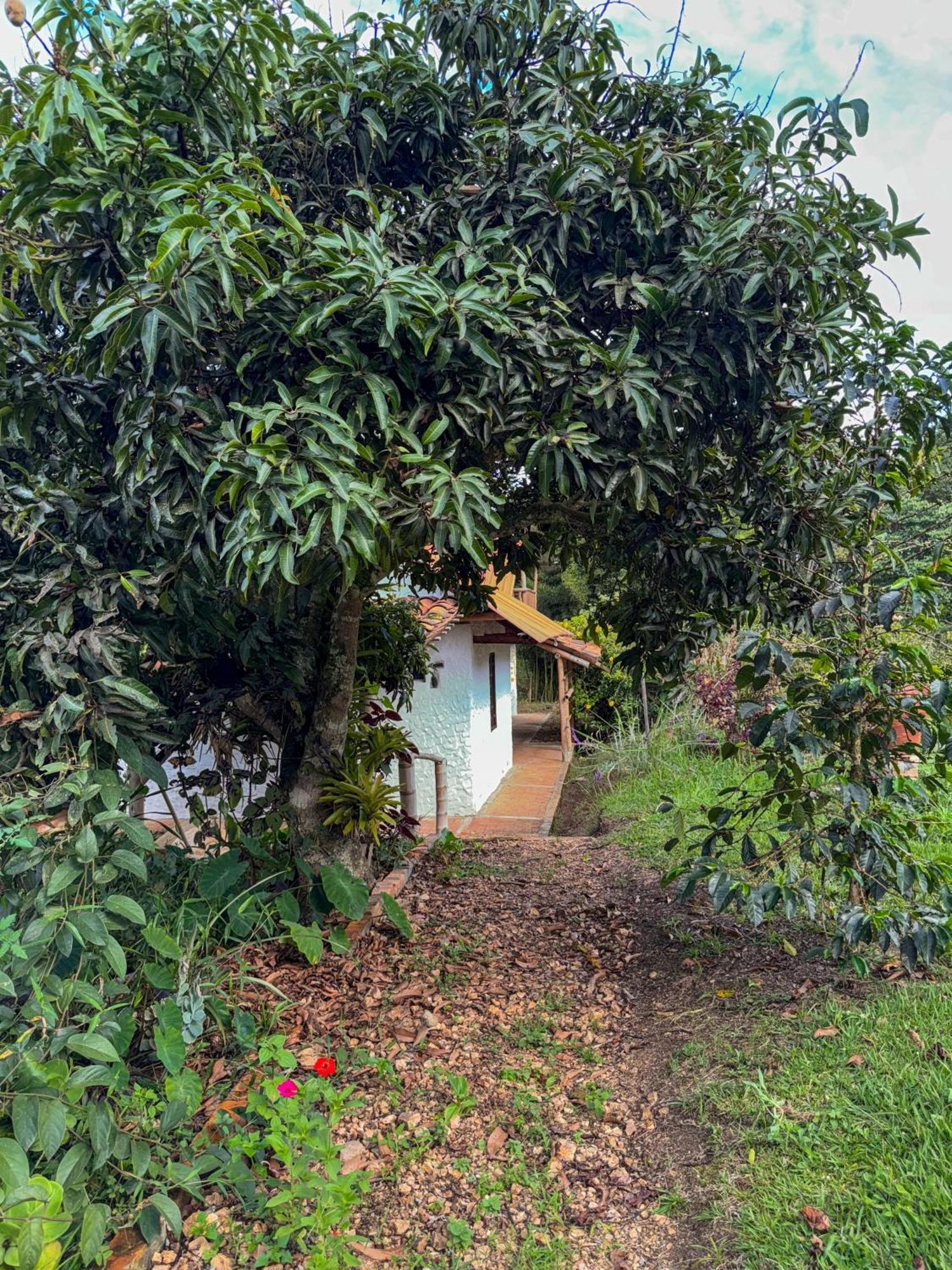 Hostal Pachamama San Agustín Exteriér fotografie