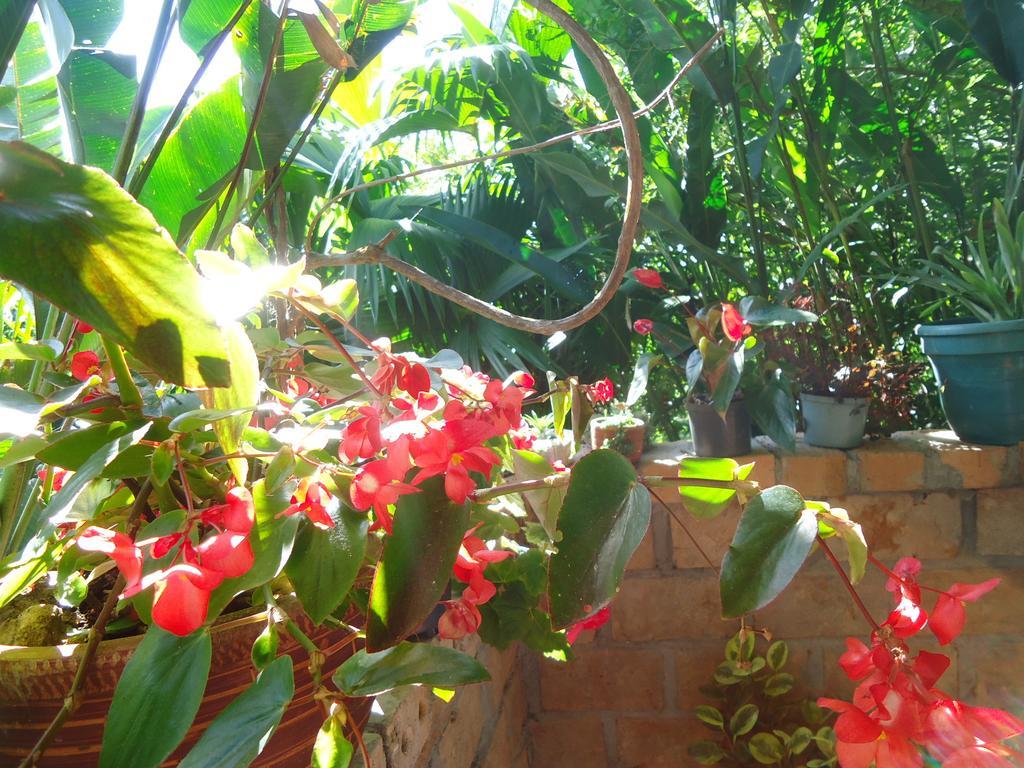 Hostal Pachamama San Agustín Exteriér fotografie